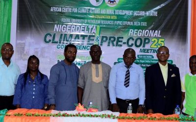 Stakeholders adopt ‘Niger Delta approach’ to tackle climate change