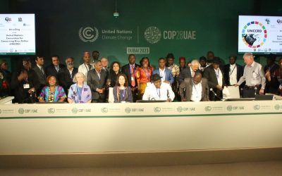 New United Nations Convention On Conserving River Deltas Unveiled At COP28 In Dubai