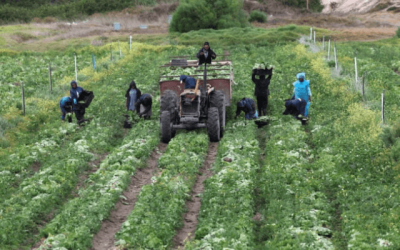 SGF, NGO seek unified climate policy framework to drive food security in Nigeria