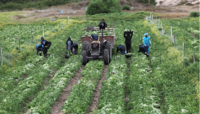 SGF, NGO seek unified climate policy framework to drive food security in Nigeria